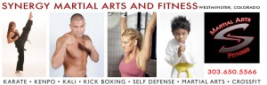 Synergy Martial Arts and Fitness