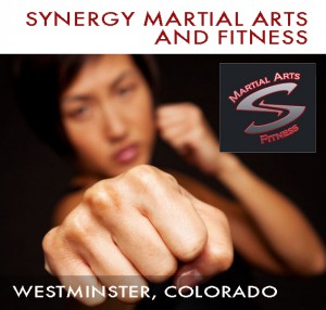 Synergy Martial Arts & Fitness