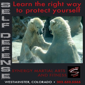 Learn Self Defense at Synergy Martial Arts and Fitness,