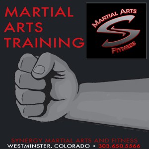 Synergy Martial Arts and Fitness Schedule